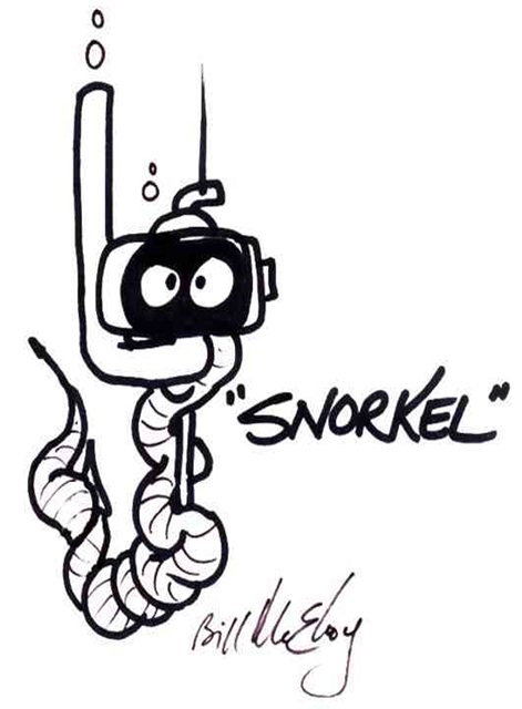 Snorkel